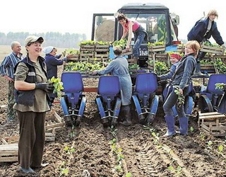 Іноземні фахівці презентують бачення законодавчих змін для розвитку сільськогосподарської кооперації в Україні